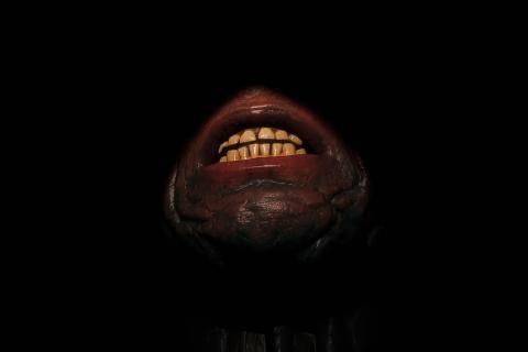 Screenshot of user's point of view in the HMD